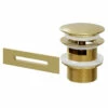 Brushed Brass Retro Fit Overflow And Waste For Parma, Verna, Palermo, Genoa And Perugia Baths