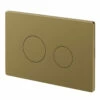 Colore Brushed Brass Pneumatic Dual Flush Plate With Round Buttons