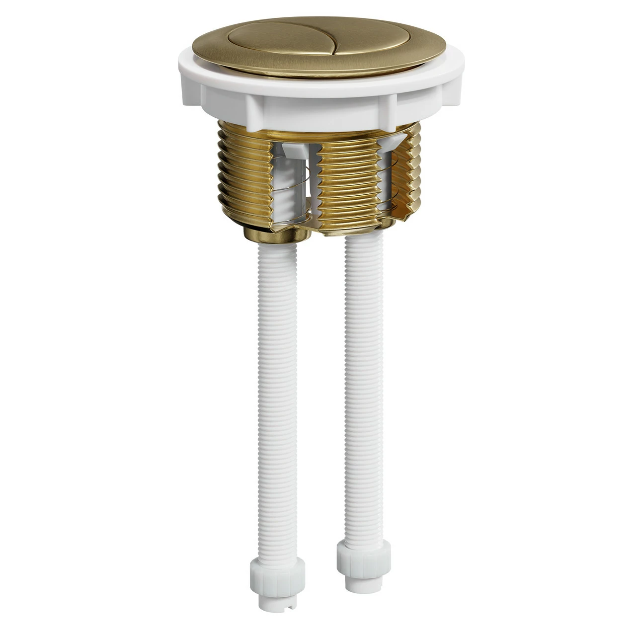 Colore Round Brushed Brass 48mm Dual Flush Push Button - Image 3