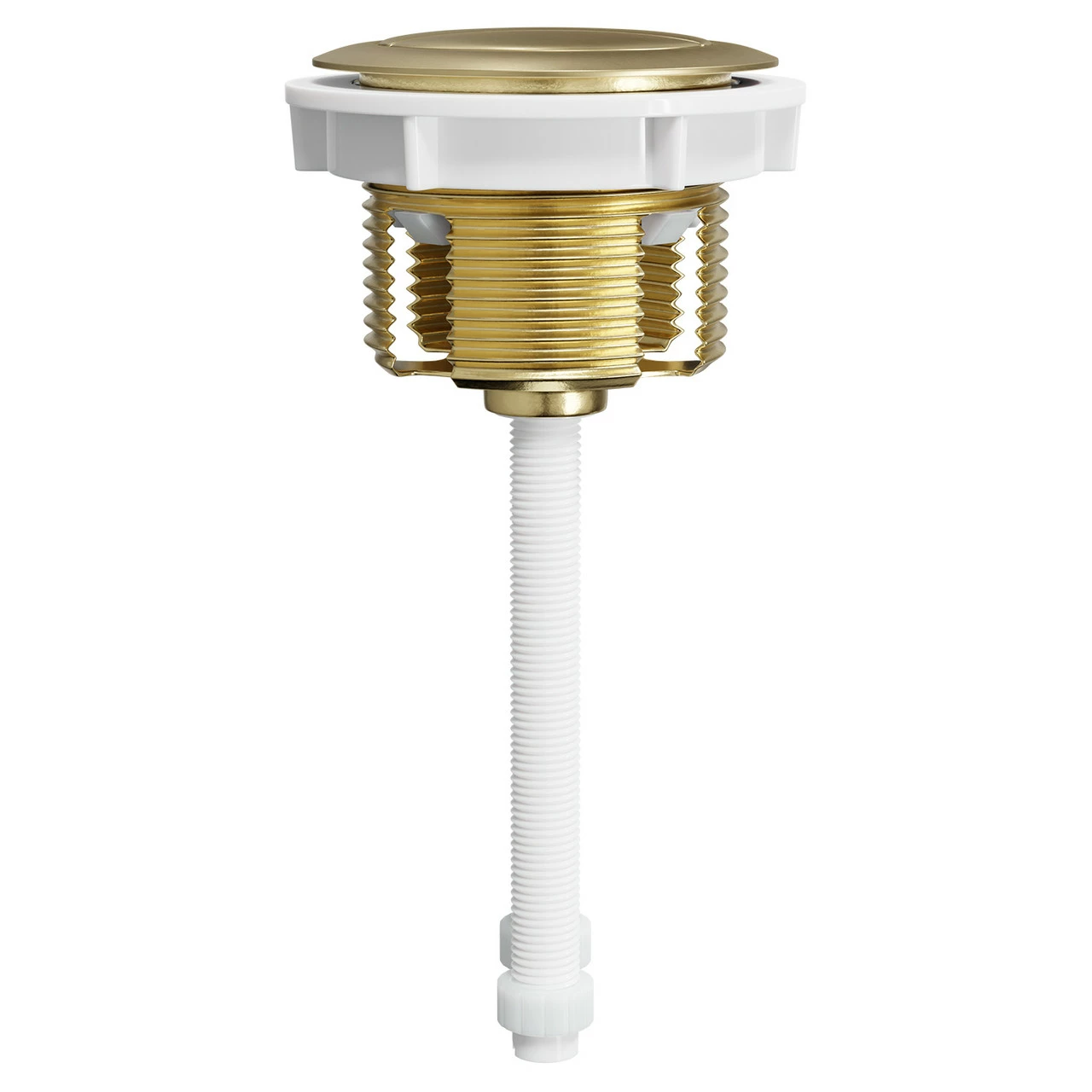 Colore Round Brushed Brass 48mm Dual Flush Push Button - Image 4