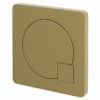 Colore Square Brushed Brass Modern Dual Flush Push Button