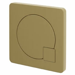 Colore Square Brushed Brass Modern Dual Flush Push Button