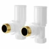 Dias White Round Angled Radiator Valves